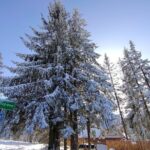 From Krakow: Zakopane & Chocholowskie Thermal Baths - The Experience – What Sets This Tour Apart