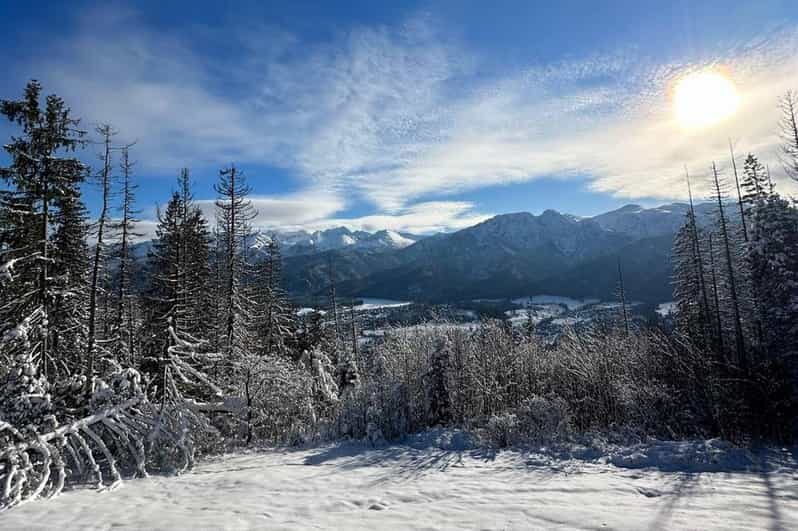 From Krakow: Zakopane Day Trip with Funicular & Food Tasting - A Deep Dive into the Zakopane Day Trip Experience