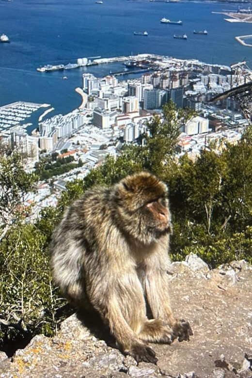 from La Cala/Marbella/Estepona: VIP Gibraltar tour with monkey rock + shopping - Why This Tour Works Well
