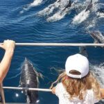 From Lagos: Dolphin Watching Cruise on a Catamaran - Who Will Love This Tour?