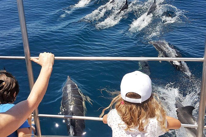 From Lagos: Dolphin Watching Cruise on a Catamaran - Who Will Love This Tour?