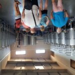 From Lagos: Private Algarve Wineries Tour with Tastings - What Makes This Tour Stand Out