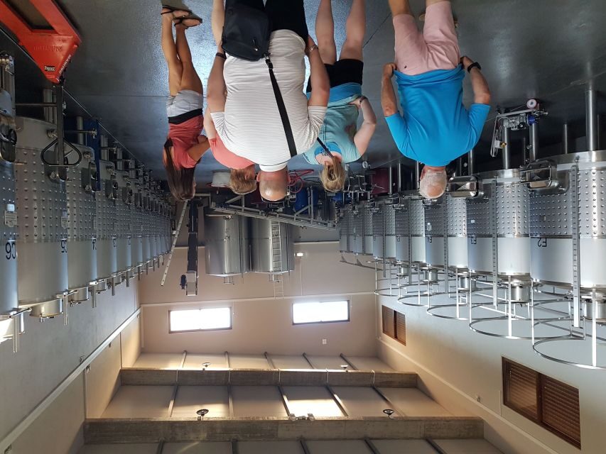 From Lagos: Private Algarve Wineries Tour with Tastings - What Makes This Tour Stand Out