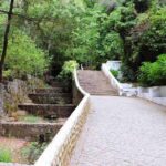 From Lagos: Private Tour with Medronho Tasting - Authentic Experiences Based on Real Feedback