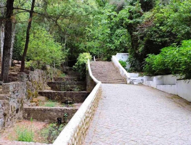 From Lagos: Private Tour with Medronho Tasting - Authentic Experiences Based on Real Feedback