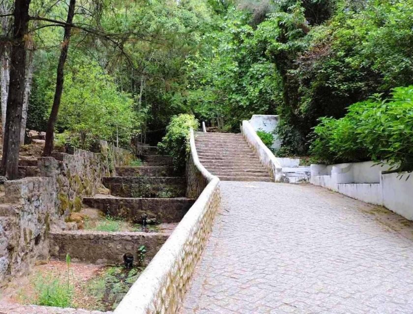 From Lagos: Private Tour with Medronho Tasting - Authentic Experiences Based on Real Feedback