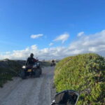 From Lisbon: Atlantic Coast Guided Quad Bike Tour - Who Is This Tour Perfect For?