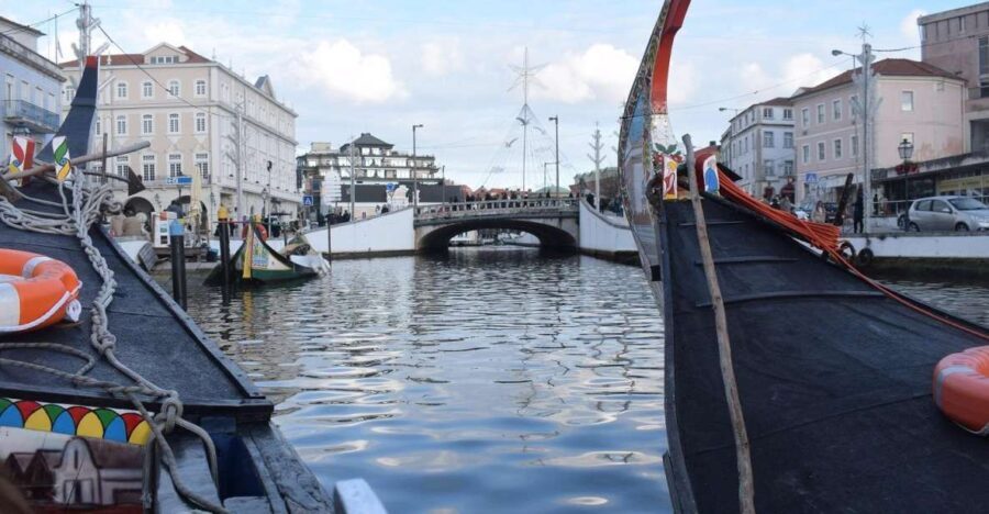From Lisbon: Aveiro and Coimbra Food Experience - Who Is This Tour Best For?