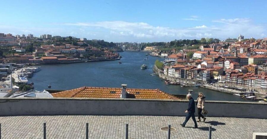From Lisbon: Douro Valley and Porto Town Experience - What’s Included and What’s Not