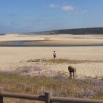 From Lisbon: Half-Day Arrábida Tour w/ Transfers - Who Should Consider This Tour?