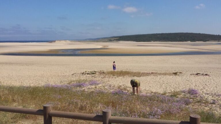 From Lisbon: Half-Day Arrábida Tour w/ Transfers - Who Should Consider This Tour?