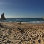 From Lisbon: Half-Day City Tour of Sintra - A Detailed Look at the Tour