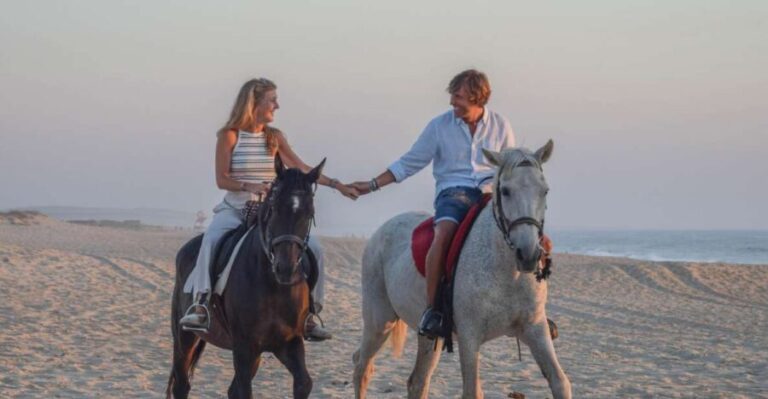 From Lisbon: Horseback Riding on Comporta Beach - Is It Worth the Price?
