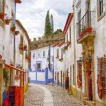 From Lisbon: Óbidos and Nazaré Private Half-Day Tour - Final Thoughts