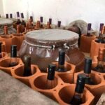 From Lisbon: Palmela-Setúbal Wine Tasting Tour (40kms of Lisbon) - What’s Included and What’s Not