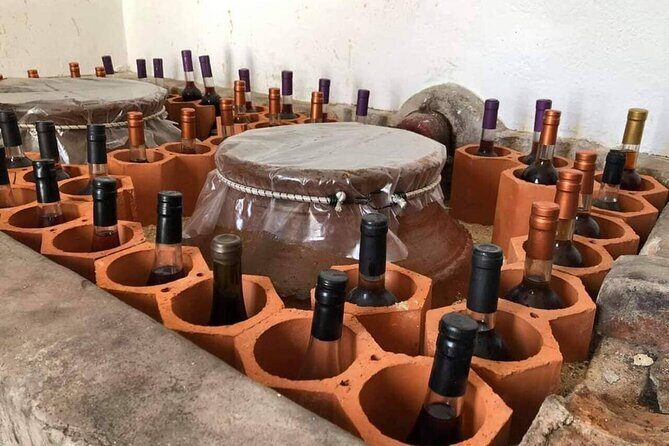 From Lisbon: Palmela-Setúbal Wine Tasting Tour (40kms of Lisbon) - What’s Included and What’s Not