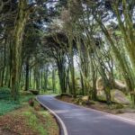 From Lisbon: Pena, Regaleira, Peninha, Adraga & Coastline - The Sum Up