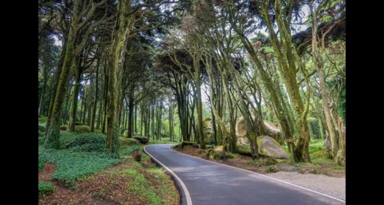 From Lisbon: Pena, Regaleira, Peninha, Adraga & Coastline - The Sum Up