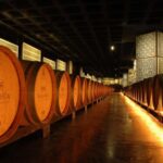 From Lisbon: Serra da Arrábida, Sesimbra, and Setúbal Wines - Practical Details and Value