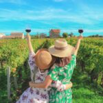 From Lisbon: Setúbal & Arrábida Wine Tour with Lunch - Whats Included & Practicalities