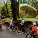 From Lisbon: Sintra and Cascais E-Bike Tour - Practical Details and Value