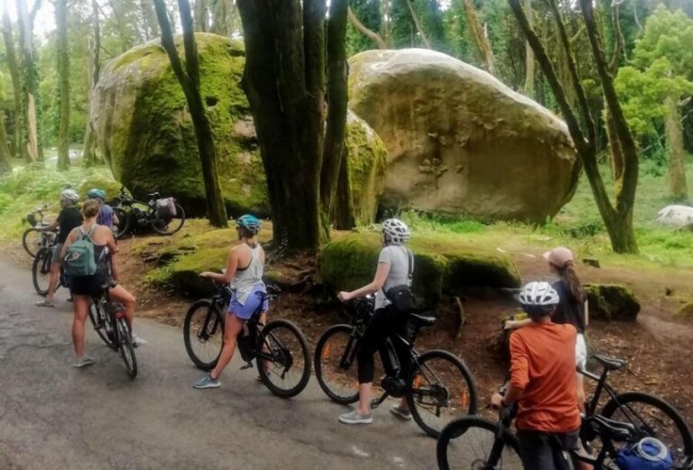 From Lisbon: Sintra and Cascais E-Bike Tour - Practical Details and Value