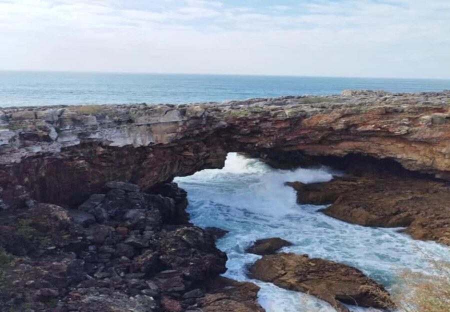 From Lisbon: Sintra Day Trip with Entry Tickets - The Bottom Line: Who Is This Tour Perfect For?