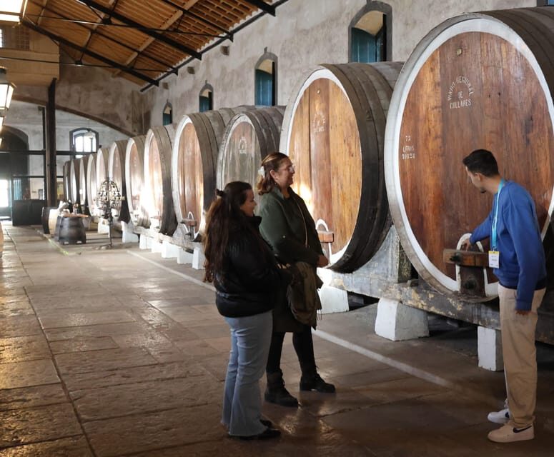 From Lisbon: Sintra, Pena Palace, Cascais and Wine Tasting - The Unique Experience of the Wine Cellar Tour