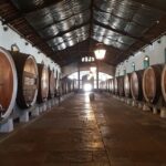 From Lisbon: Sintra Wine Experience - What’s Included & What to Keep in Mind
