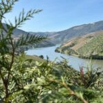 From Lisbon to Douro Valley with Stops up to 4 Cities - What Makes This Tour Special?