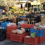 From Lisbon: Traditional Market, Mafra, Ericeira & Crafts - Practical Details & What You Should Know