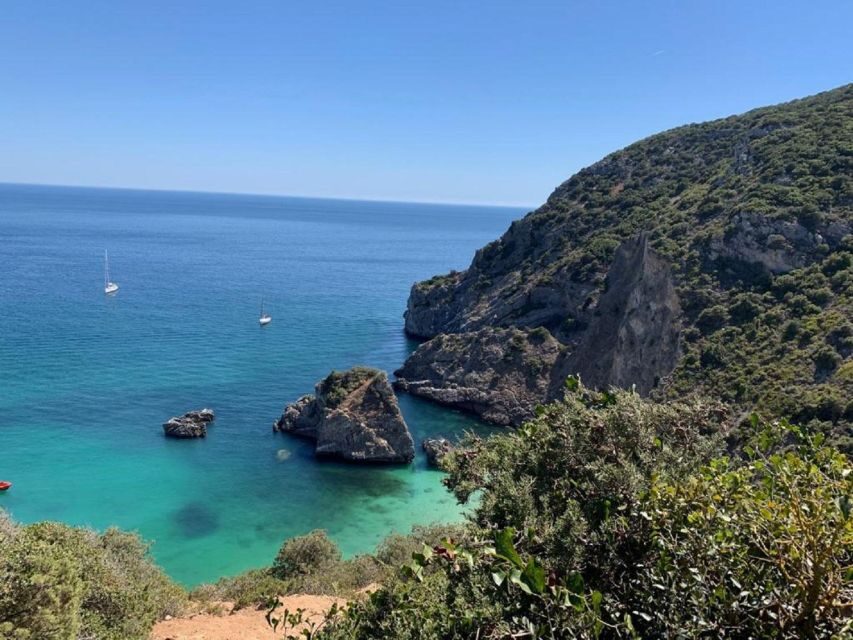 From Lisbon: Vicentine Coast Exploration - Exploring the Vicentine Coast: What You Can Expect