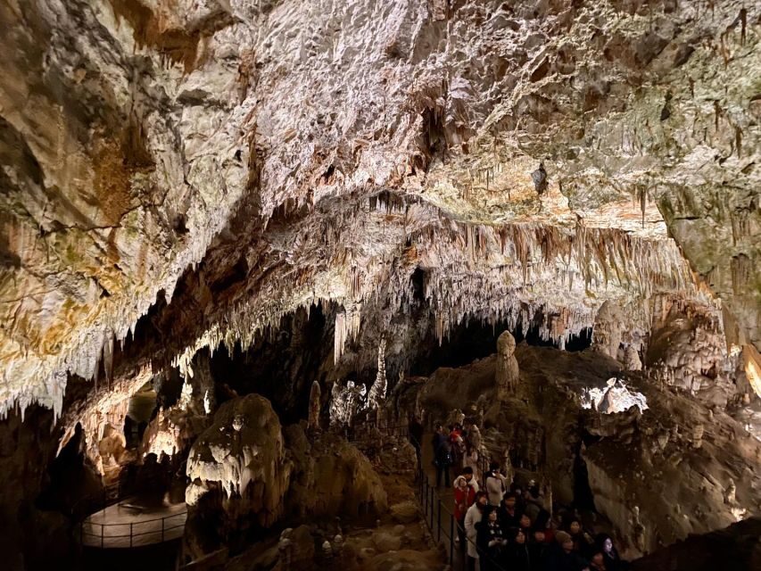 From Ljubljana: Postojna Cave Day Trip - The Experience: What Makes It Special