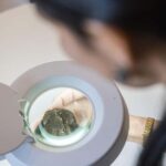 From location: Truffle farm visit, culinary workshop, meal - Discovering the Truffle Farm