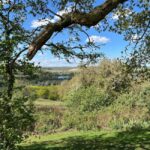 From London: Private Guided Walking & Fine Dining Tour - FAQs