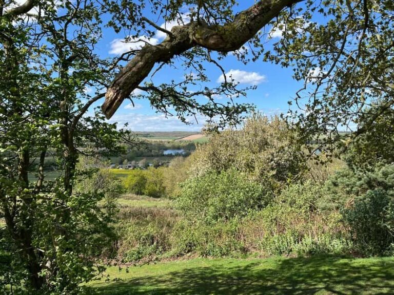 From London: Private Guided Walking & Fine Dining Tour - FAQs