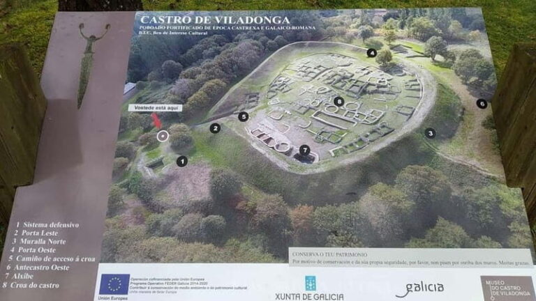 From Lugo: Half-day excursion to the Viladonga Hillfort - Who Should Consider This Tour?