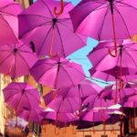 From Madrid: Day Trip to Brihuega Lavender Fields - What We Loved About the Experience