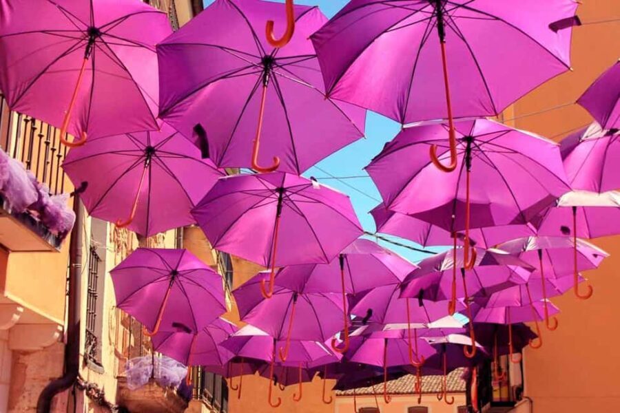 From Madrid: Day Trip to Brihuega Lavender Fields - What We Loved About the Experience