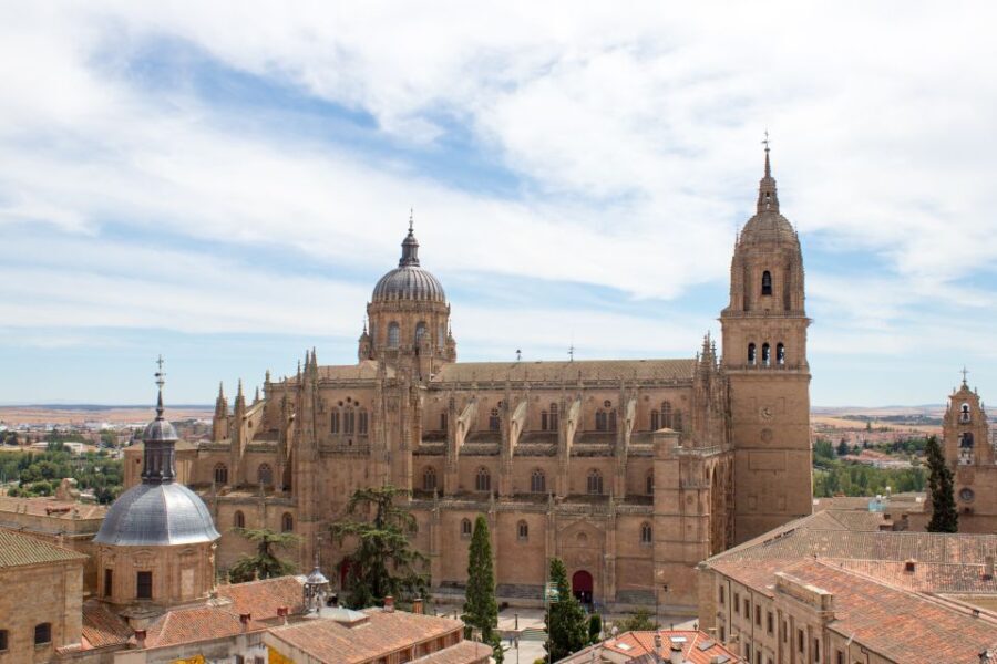 From Madrid: Day Trip to Salamanca with Private Tour - The Sum Up