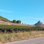 From Madrid: Ribera del Duero Wine Tour with Local Lunch - The Itinerary: What’s Included and Why It Matters