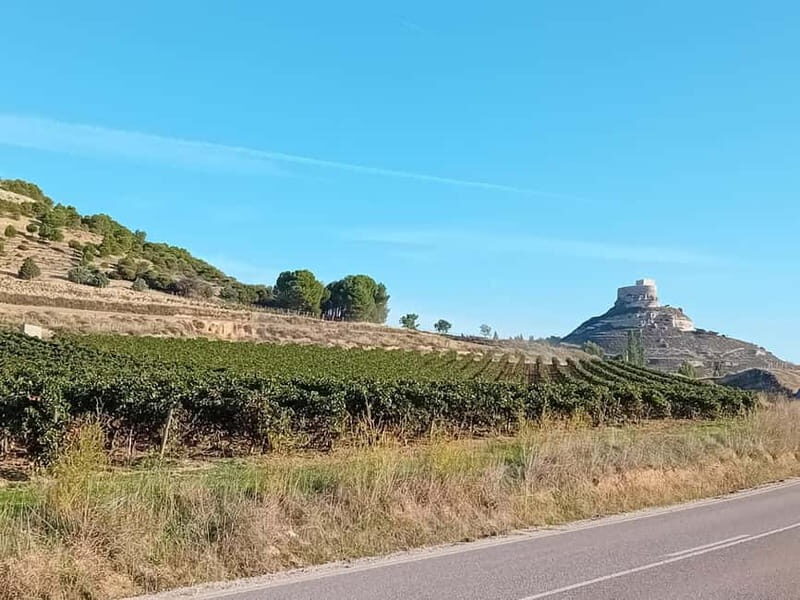 From Madrid: Ribera del Duero Wine Tour with Local Lunch - The Itinerary: What’s Included and Why It Matters