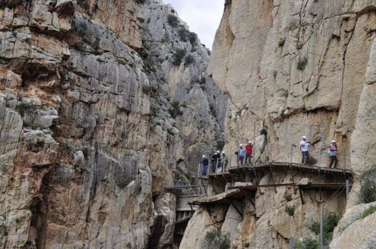 From Malaga: Caminito del Rey and Lake Swimming Private Tour - Evaluating the Value