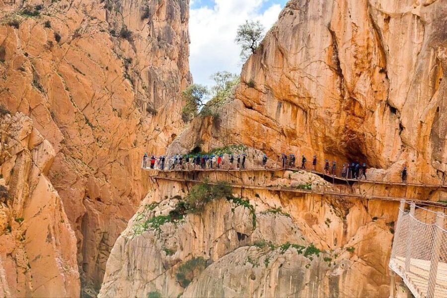 From Málaga: Caminito del Rey Guided Day Trip - Transport & Logistics: Keeping It Simple