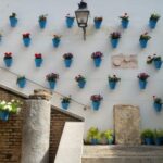 From Malaga: Cordoba Day Trip and Mosque-Cathedral - Transportation and Group Size