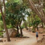 From Málaga & Costa del Sol: Caminito del Rey Guided Tour - Practical Tips for Travelers