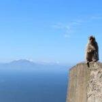 From Malaga: Gibraltar and Tangier Private Day Trip - Practical Details and Tips