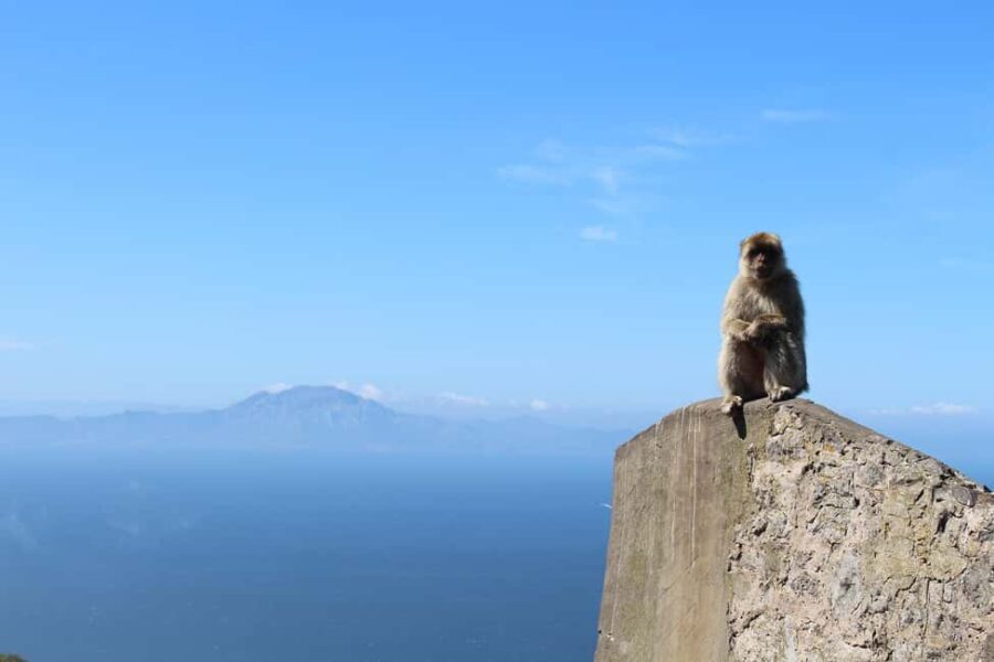 From Malaga: Gibraltar and Tangier Private Day Trip - Practical Details and Tips