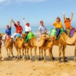 From Malaga: luxury private tour from Malaga to Tangier - The Itinerary: What to Expect on This Moroccan Day Trip