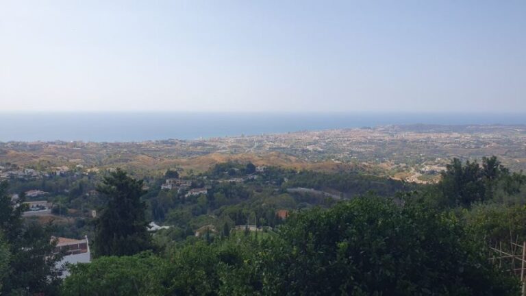 From Málaga: Marbella, Mijas y Puerto Banús Guided Tour - Why This Tour Offers Good Value